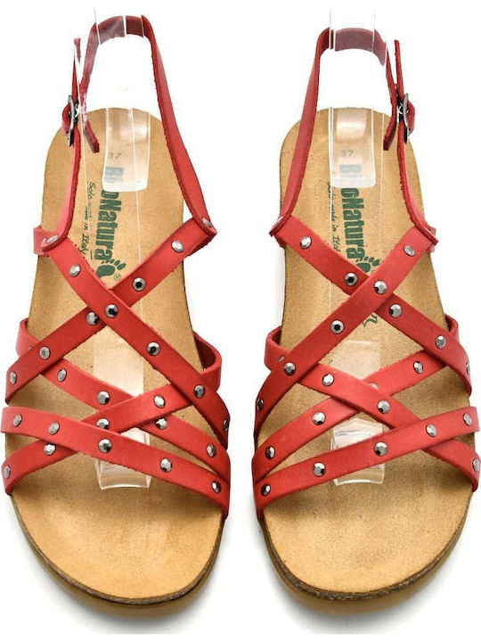 Leather Women's Flat Sandals Anatomic in Red Color