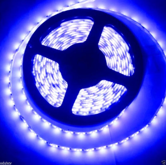 Blue LED Strip 60xLED 12V Length 1m