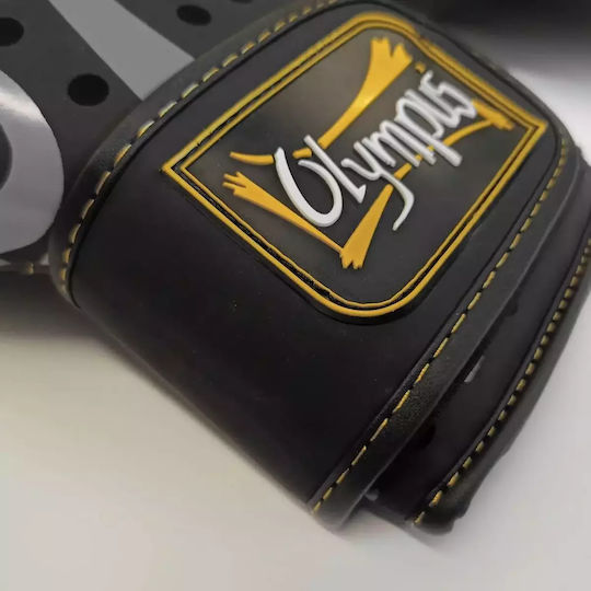 Olympus Sport Mănuși de Box pentru Competiție Multicolore