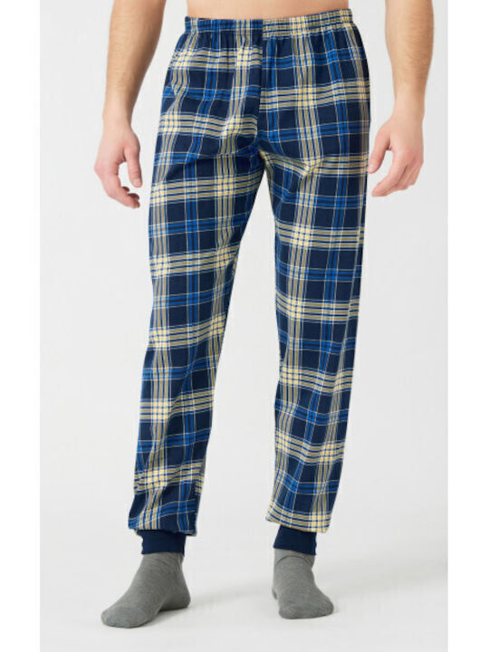 Minerva Navy, Yellow