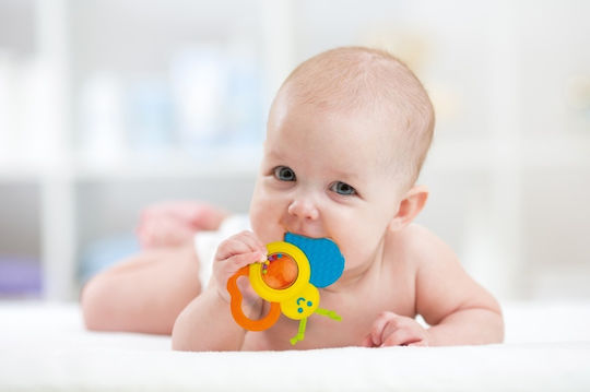 Winfun Fehn Baby Rassel Für Neugeborene