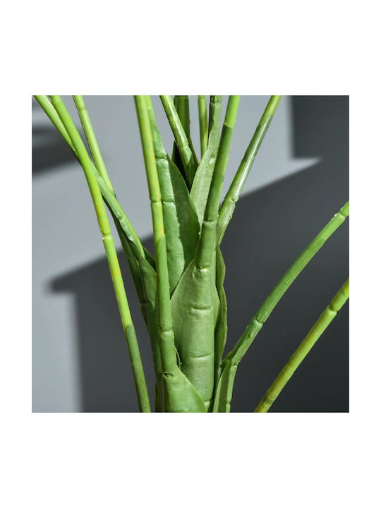 Μονστέρα σε Γλάστρα 85cm