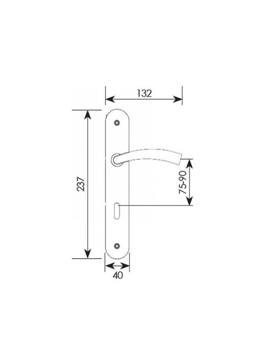 Import Hellas Lever Middle Door with Plate 215 Pair Gold