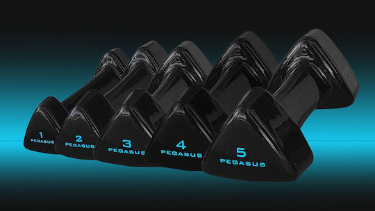 Pegasus Vinyl Dumbbell 1 x 5kg