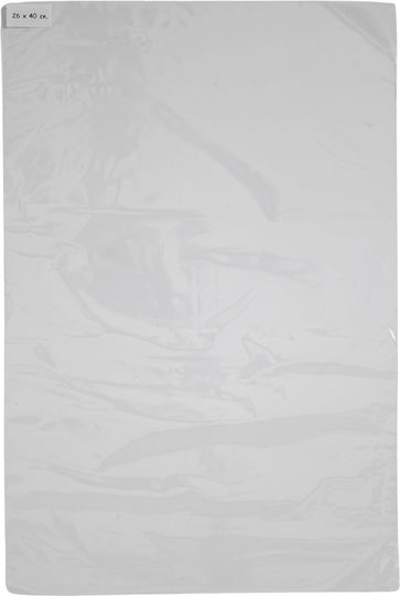 Polypropylene Cellophane Packaging Bags 1 Kilogram 35 X 50 cm