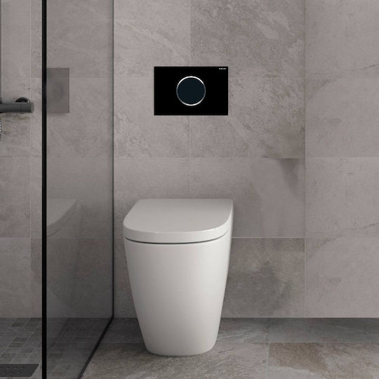 Geberit Flush Plate Dual Flush
