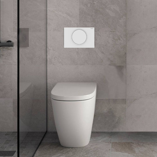 Geberit Flush Plate for Single Flush Cistern Inox