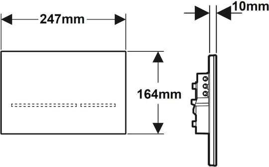 Geberit Flush Plate Dual Flush