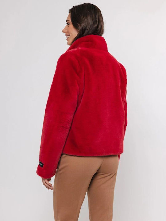 Women's Short Lifestyle Jacket for Winter Red Berry