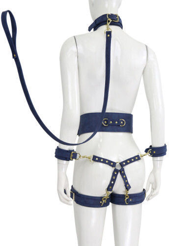 Naughty Toys BDSM Kit in Blau Farbe 6Stück
