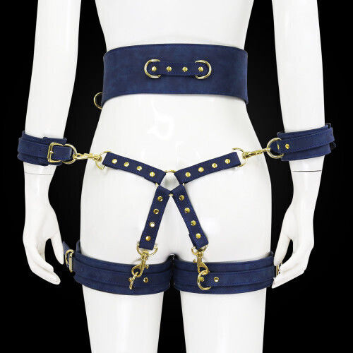 Naughty Toys BDSM Kit in Blau Farbe 6Stück