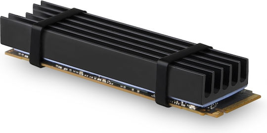 Axagon M.2 SSD-Kühlung 80mm SSD ALU Gehäuse Silikon-Wärmeleitpads Höhe 10mm Schwarze