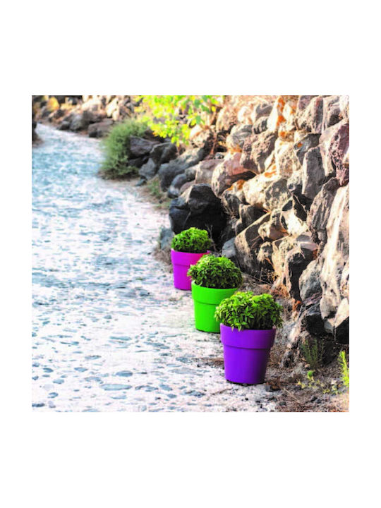 Homestyle Blumentopf Kunststoff COLORIST
