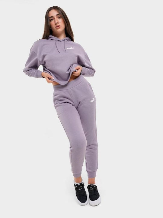 Sweatpants Purple