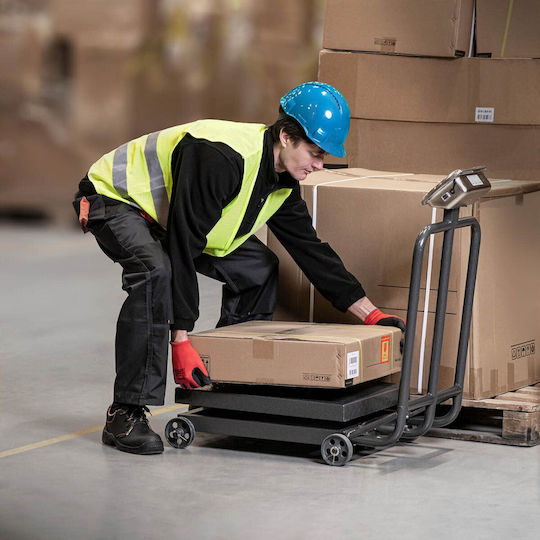 Industrial Platform Scale On Wheels 600 Kg 100 G Lcd
