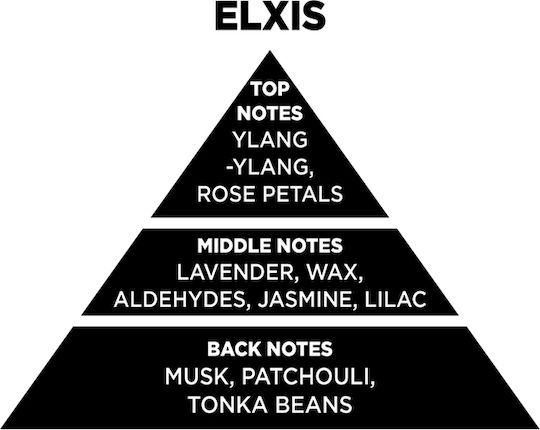 Raumduftstäbchen Diffuser Themagio Elxis 100ml 1 Stück