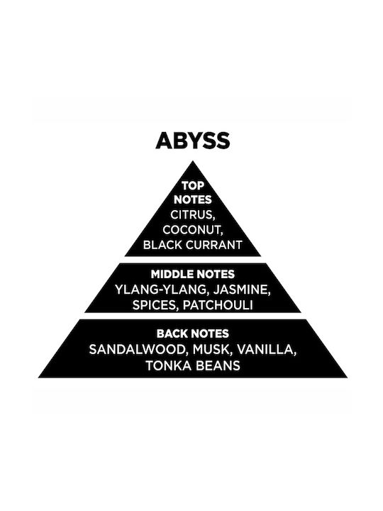 Αρωματικό Χώρου Sticks Diffuser Themagio Abyss 100ml 1 Τεμάχιο