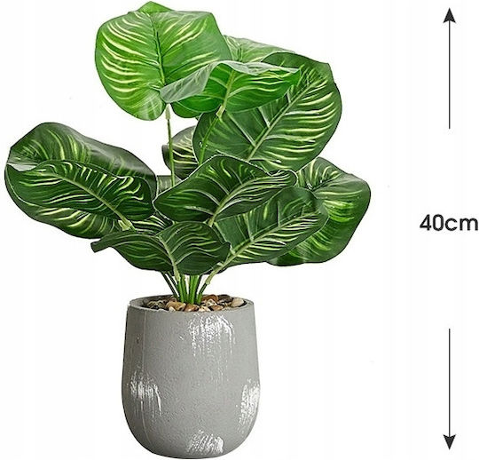 Artificial Plant in Small Pot Calathea 37cm