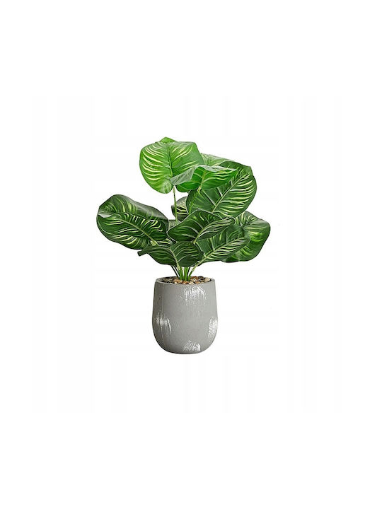 Plantă Artificială în Ghiveci Mic Calathea 37cm