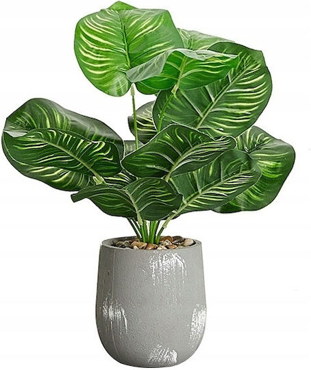 Artificial Plant in Small Pot Calathea 37cm