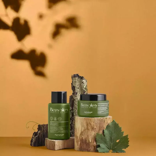 Intensive Regenerating Mask Damaged Hair Alfaparf Milano Benvoleo Recovery Capacity Ml 250