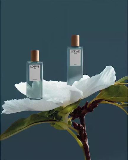 Loewe Agua Eau de Parfum 100ml