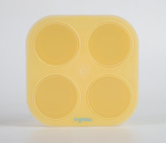 U-Grow Recipient Transparent Din Silicon