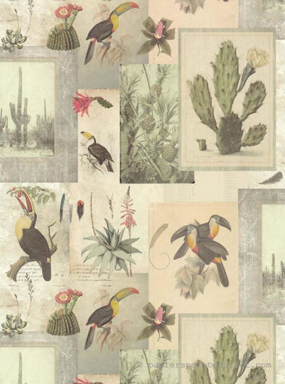 Wall Wallpaper Cacti - Toucan Vinyl 1000x53cm