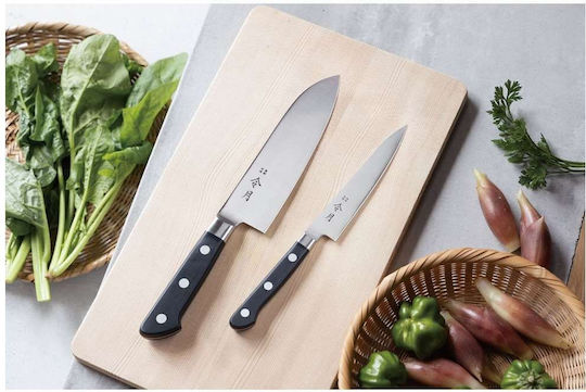 Fuji Reigetsu Knife Meat from Stainless Steel 24cm