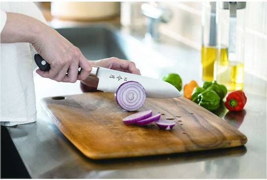 Fuji Reigetsu Knife Meat from Stainless Steel 24cm