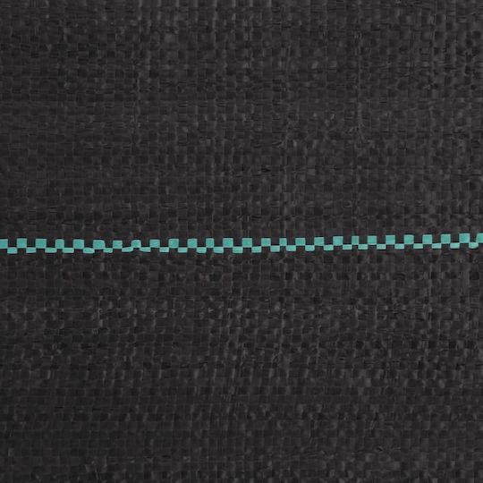 vidaXL 4005174 Ground Cover Fabric 100gr/m² 0.5x50m Black