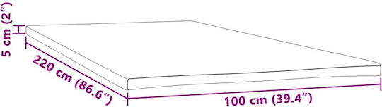 vidaXL Ανώστρωμα Μονό Foam με Αποσπώμενο Κάλυμμα 100x220x5εκ.