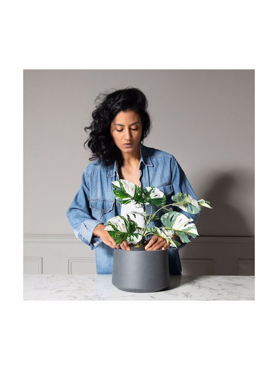 Artificial Plant in Pot Monstera Green 45cm Supergreens