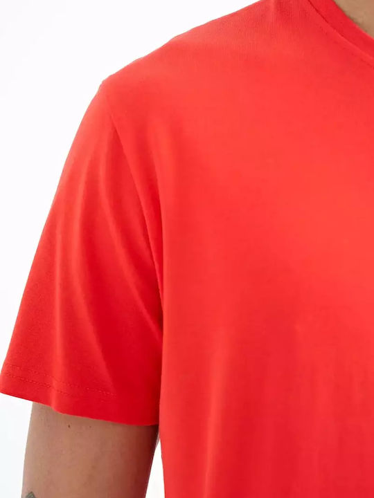 T-Shirt Rot