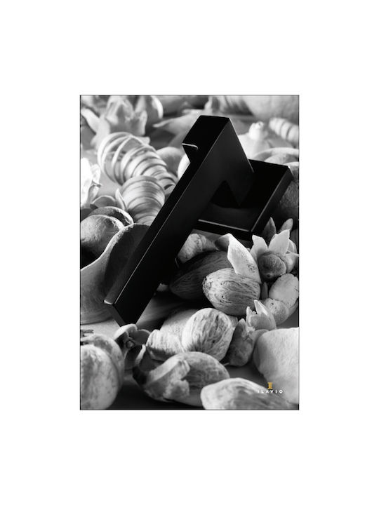 Ilavio Hebel Mittlere Tür mit Rosette Paar Black