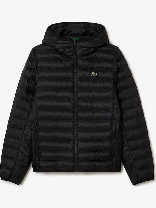 Winter Jacket Puffer Waterproof Black