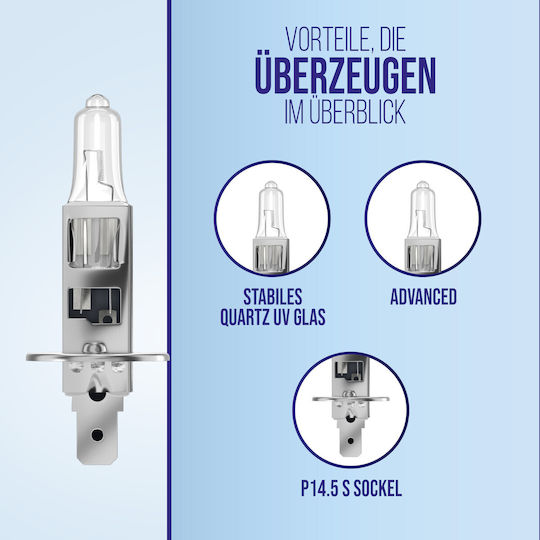 Alca Halogen Lamp H1 Vehicle Bulb Auto Light Source 12v 55w Base P14.5s