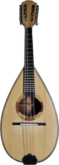 Acoustic Mandolin