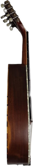 Acoustic Mandolin