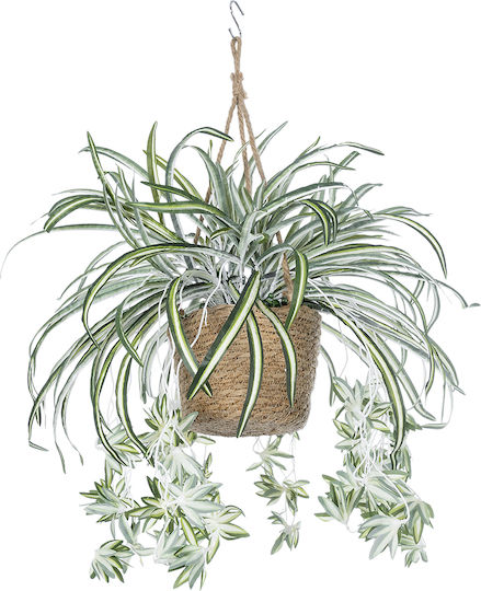 Globostar? Artificial Garden Chlorophytum Comosum Hanging Plant 20638 Τεχνητό Κρεμαστό Διακοσμητικό Χλωρόφυτο Y50cm