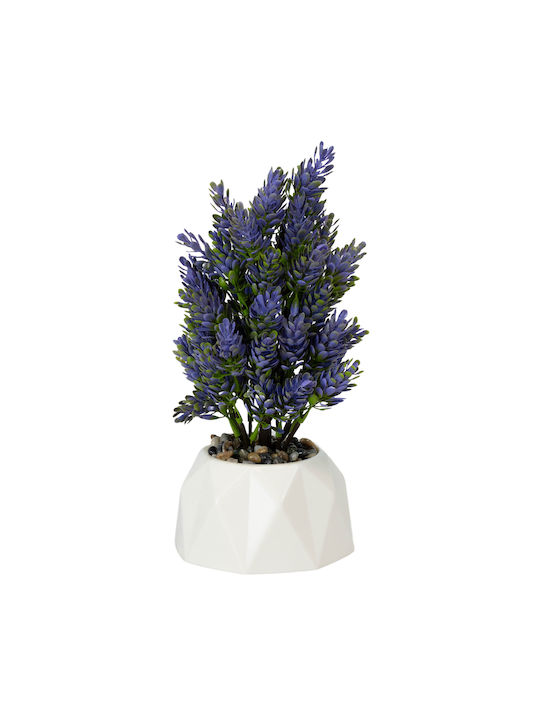 Ορχιδέα σε Γλαστράκι Ροζ 26cm Viosarp