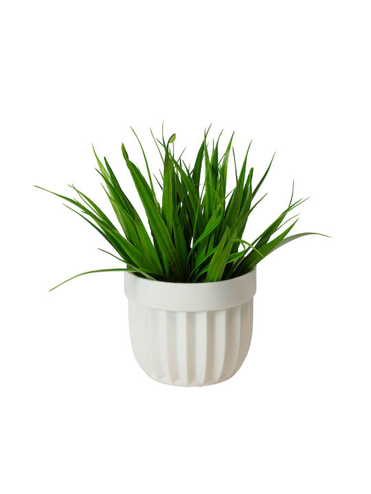 Γρασίδι σε Γλαστράκι 17cm (Διάφορα Χρώματα) Viosarp