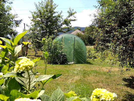 Seră de Grădină Tip Tunel Cadru Metalic 300x200cm Verde 6mp Cadru Ușă