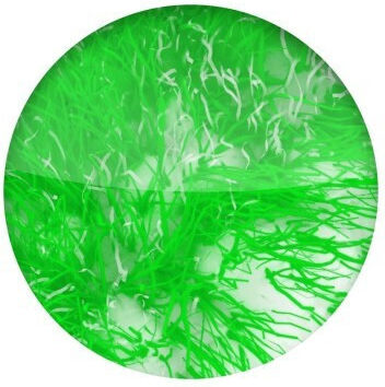 Chemicalworkz Bug Sponge Green