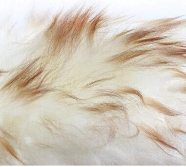 Chemicalworkz Lambswool Duster Brush