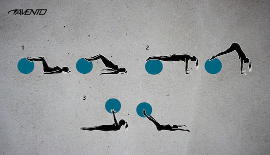 Avento Μπάλα Pilates 75cm , 1.3kg σε Ασημί Χρώμα