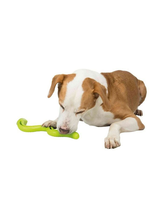 Trixie Treat Toy for Puppy made of Rubber Green 1pcs