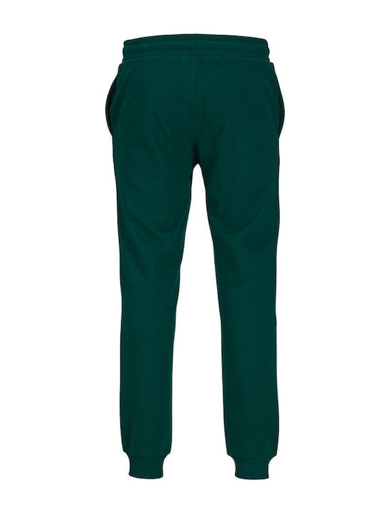 Sweatpants with Elastic Deep Teal