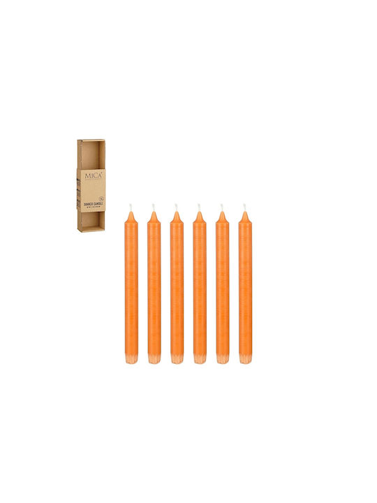 Mica Aromatisches Kerze Kegel mit Orange Duft 24cm 560g 6Stücke