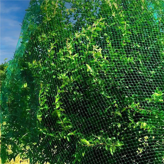 Anti-bird Net 8x20m Made Polyethylene Fixing Pins Green